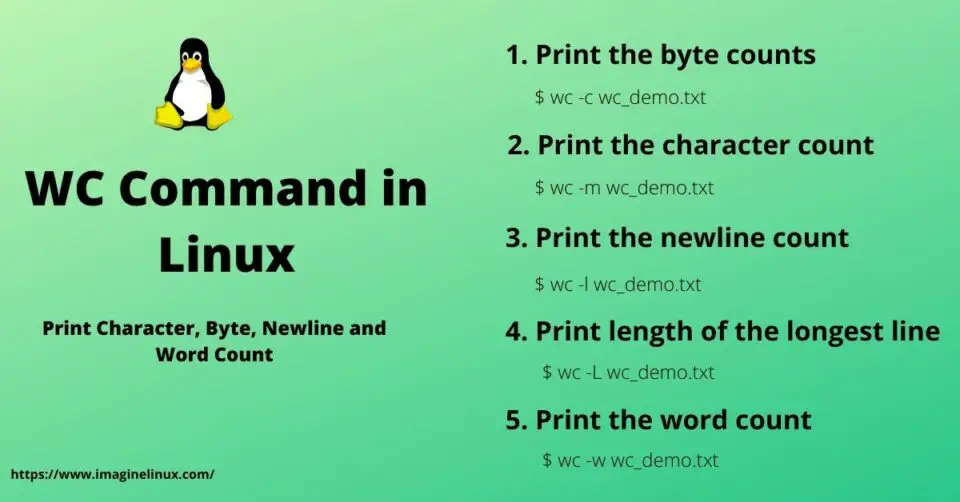 wc-command-in-linux-how-to-print-character-byte-newline-and-word-count-imaginelinux