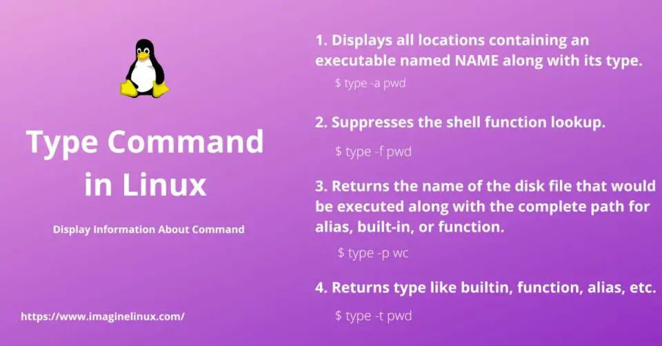 type-command-in-linux-how-to-display-information-about-command-imaginelinux