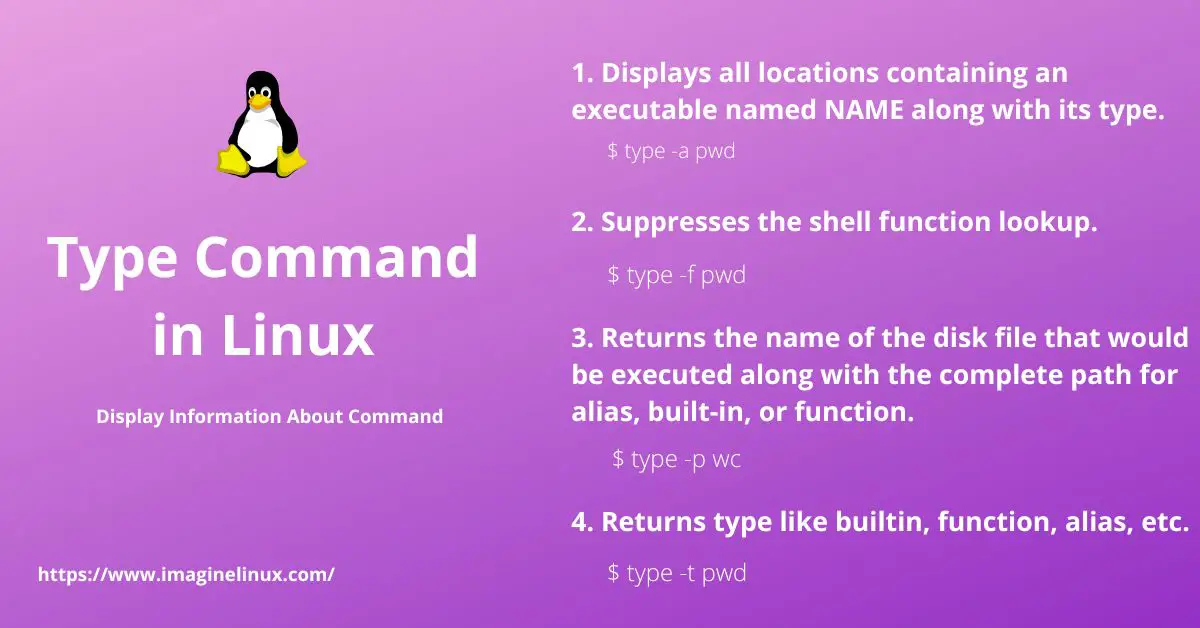 Type Command In Linux How To Display Information About Command 